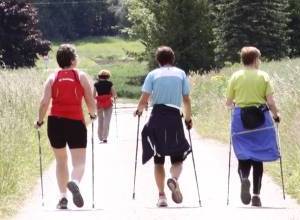 3NWIMG2145zugeschnitten_original