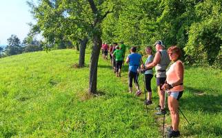 Gonningen_3_original