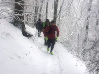 Dreikönigslauf 2 200Bild