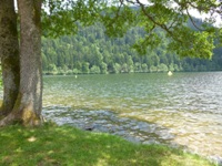 Xonrupt-Longemer 1 200Bild