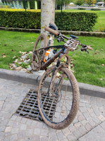 Molveno 2 200Bild