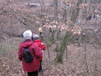 Herbstwalking_700Bild