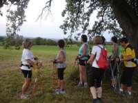 Walkingsommer_700Bild