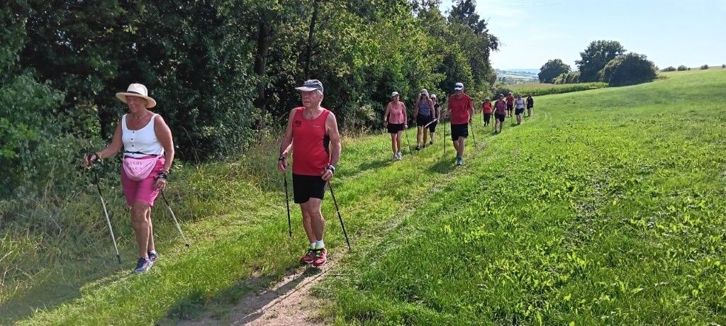 2025 Gomaringer Sommerwalking Foto 3