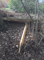 Beschädigung Sportpfad 3 200Bild