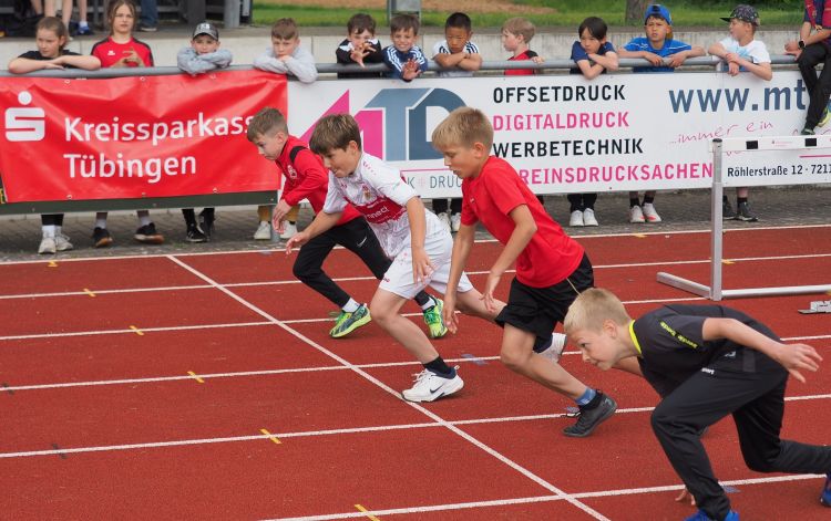 images/stories/Leichtathletik/2025/KSK-Talentsportfest/2024-05-23-KSK-Talentsportfest-Belsen-Foto.JPG#joomlaImage://local-images/stories/Leichtathletik/2025/KSK-Talentsportfest/2024-05-23-KSK-Talentsportfest-Belsen-Foto.JPG?width=4010&height=2518