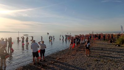 Alle Schwimmer stellten sich am breiten Strand auf und nach dem Startsignal gings auch schon los.