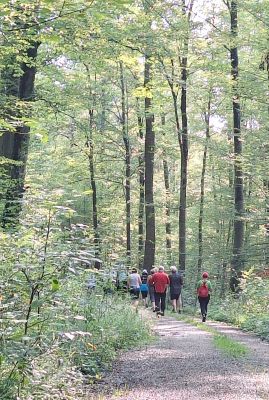 Das Nordic Walking im Sommerferienprogramm mit den Gomaringer Walkingfreunden ist immer eines der Highlights.