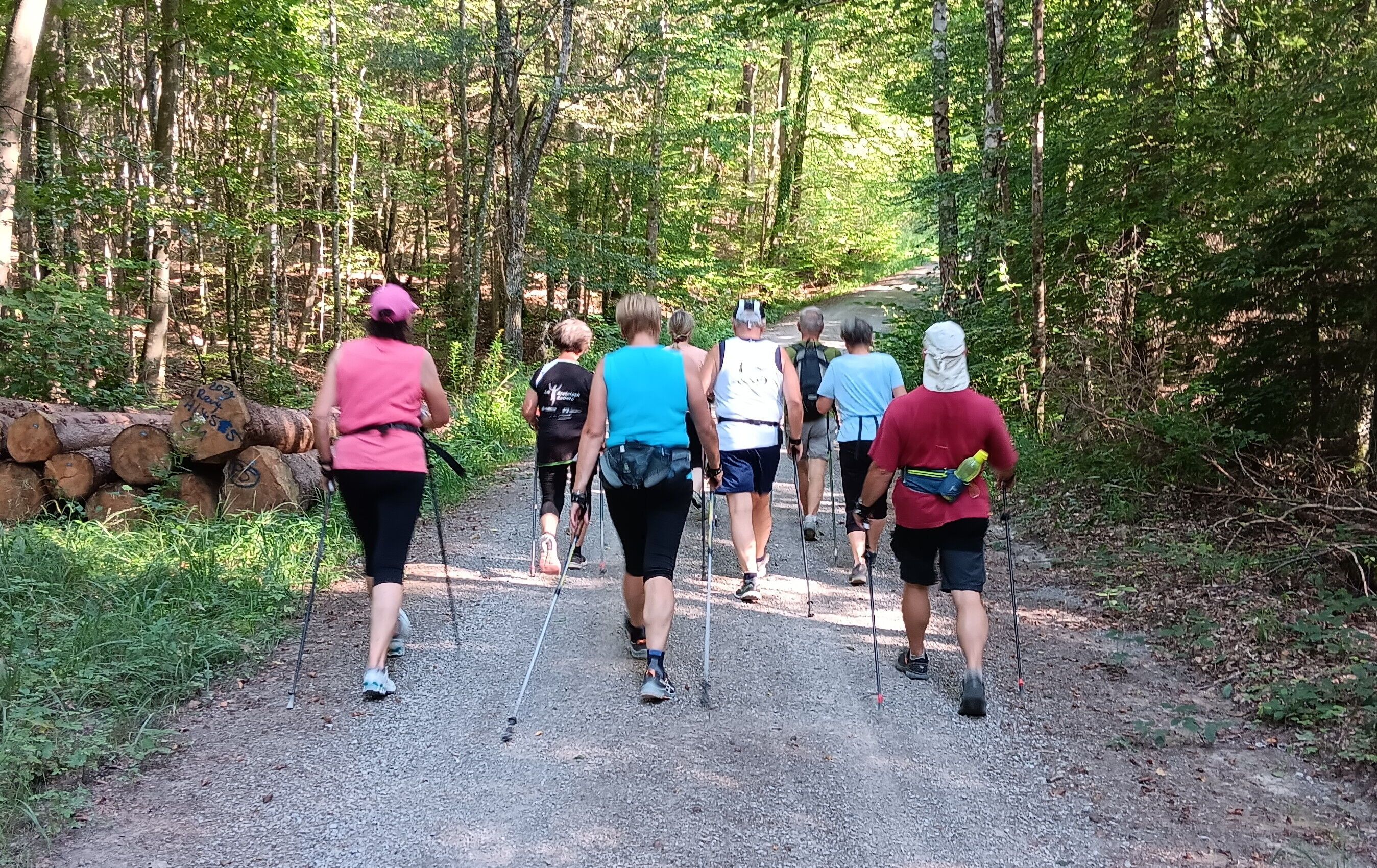 Im Wald ließ sich die große Hitze gut aushalten.